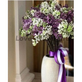 Ветки любимой сирени