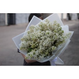 Букет белой сирени