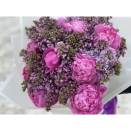 Малинки в сиреневом саду