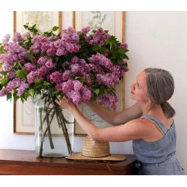 Большая ваза с сиренью 