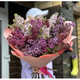 Майские грезы