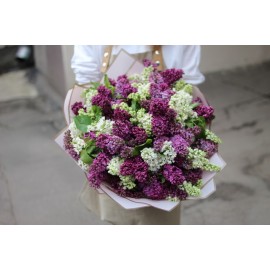 Мир, труд, май!