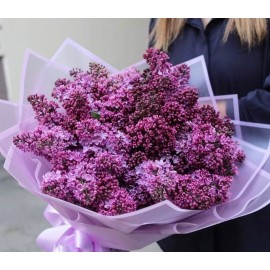 Сиреневые грезы