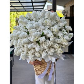 Корзина с белой сиренью