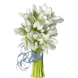 Первоцветы