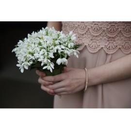 Снежная красавица