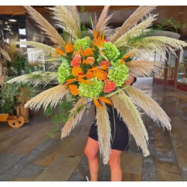 Тропический ураган 