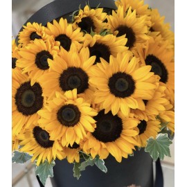 Подсолнечная коробка 