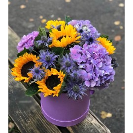 Под грибным дождём!