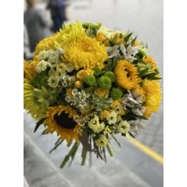 Солнце светит!