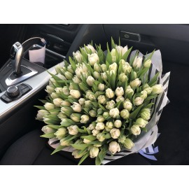 101 пионовидный тюльпан сорта Мундеаль