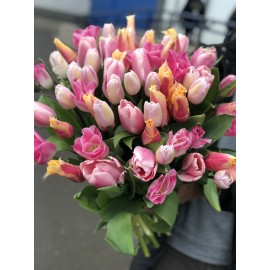 Тюльпаны-гиганты!