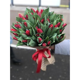 Эти красные глазки