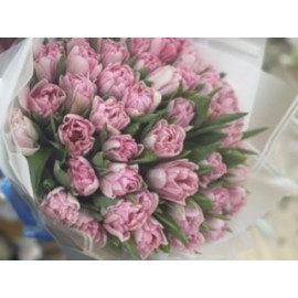 Розовые пионовидные тюльпаны Факстрот