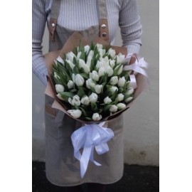 51 белый тюльпан