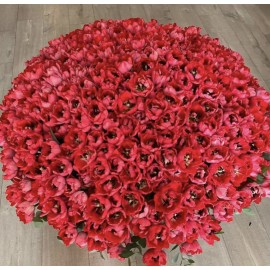 Корзина из 501 тюльпана