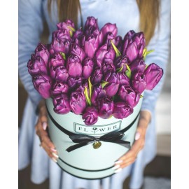 Фиолетовые тюльпанчики