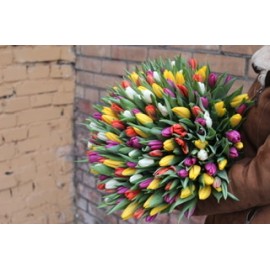 201 тюльпан микс