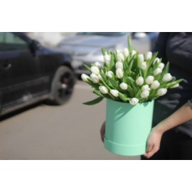 51 белый тюльпан в коробке 