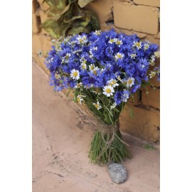 Летнее чудо 