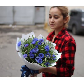 Васильки круглый год!