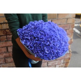 Лето в городе