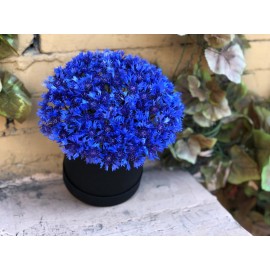 Васильки в шляпной коробке 