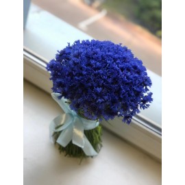 Полевая история