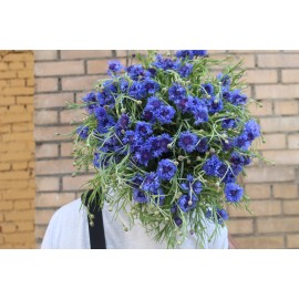 Жара - июль!