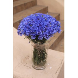 Ваза с васильками