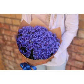 Летняя классика