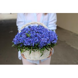Корзина васильков “medium”