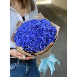 Васильки сегодня!