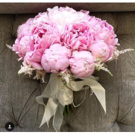 Классика из пионов