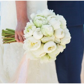 Очарование белых пионов