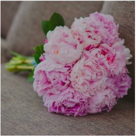 9 милашек Сары Бернар