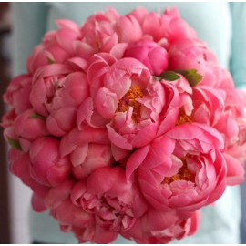 Кораллы для невесты