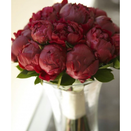 Бордовая свадьба 