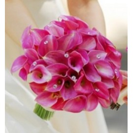 Эти розовые каллы